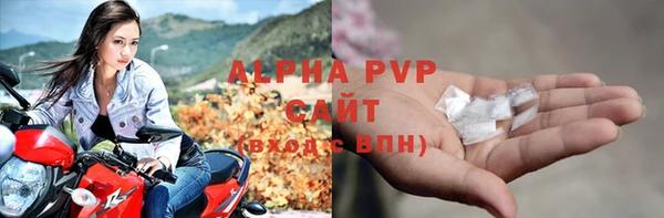 твердый Бородино