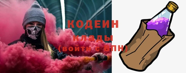 твердый Бородино