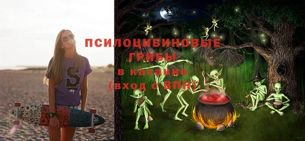 СК Верхний Тагил