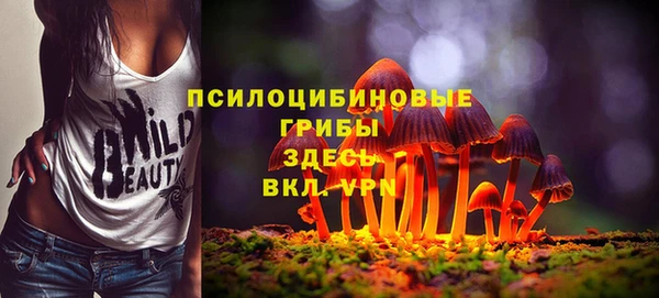 твердый Бородино