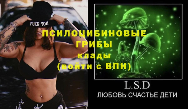 твердый Бородино