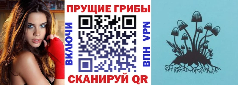 Галлюциногенные грибы прущие грибы  Красный Холм 